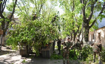 media_149319784150986500